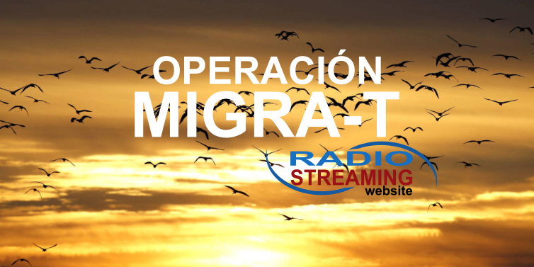 cambiar radio streaming